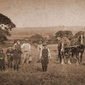 History of Agriculture in Congleton & District