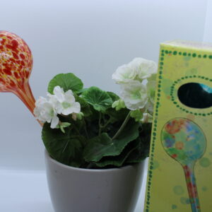 Glass Plant Feeder